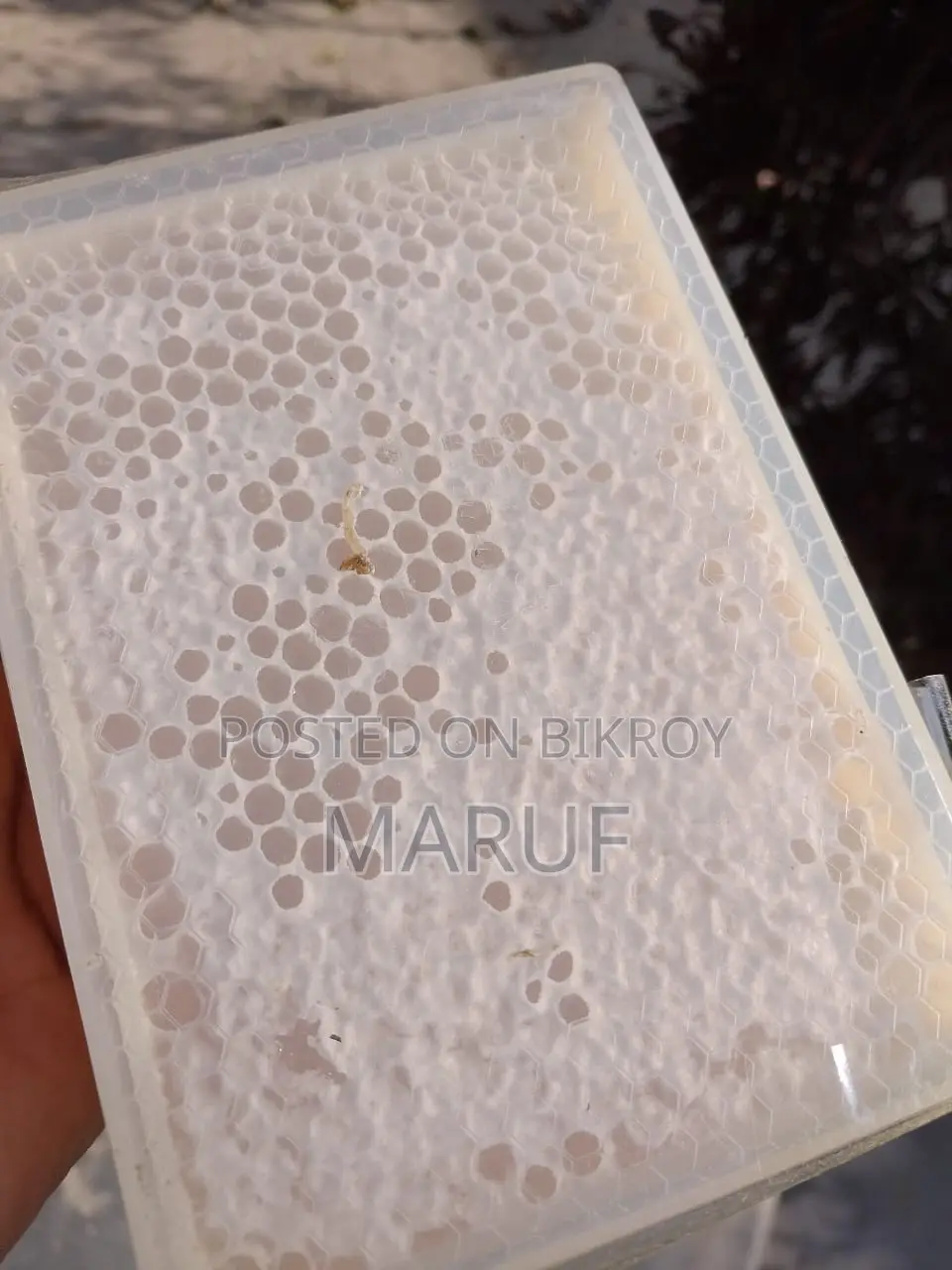 Honey with Comb