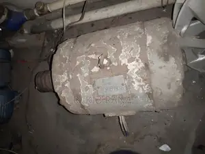 মেরিন মোটর ৬০ সি রাইজ