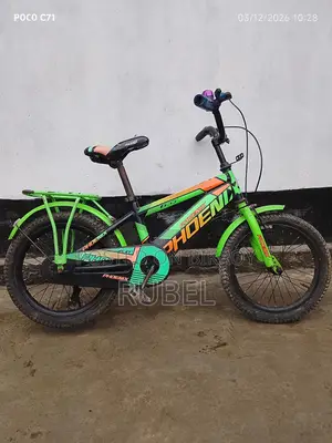 16" Phoenix Bicycle for Kids Aged 3 to 8 (Used)