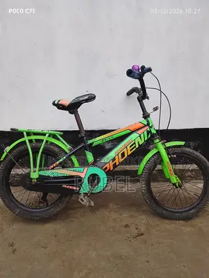 16" Phoenix Bicycle for Kids Aged 3 to 8 (Used)
