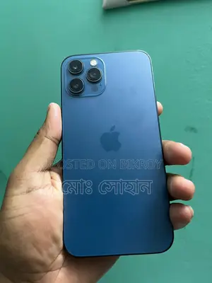 Apple iPhone 12 Pro Max (Used)