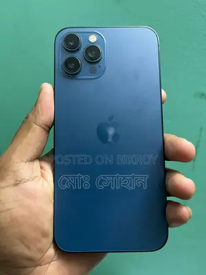 Apple iPhone 12 Pro Max (Used)
