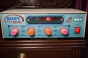 8" Indian Speaker and MP3 Supported Amplifier Sound Box for Sale