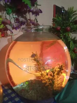 Aquarium