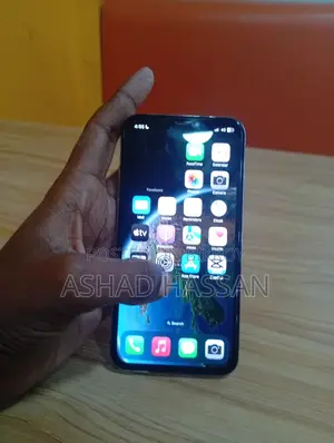 Apple iPhone X (Used)