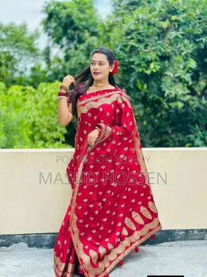 Beautiful Saree Collection
