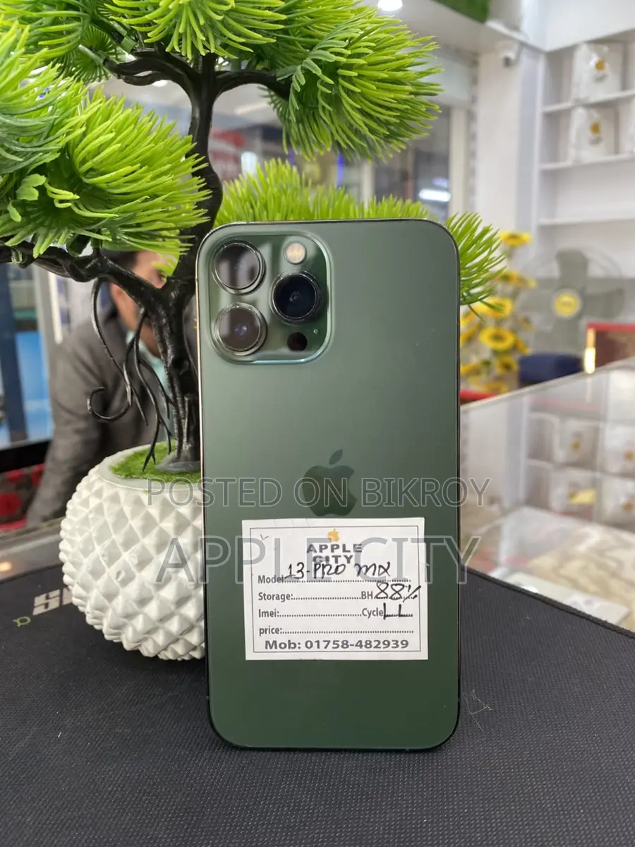 Apple iPhone 13 Pro Max (Used)