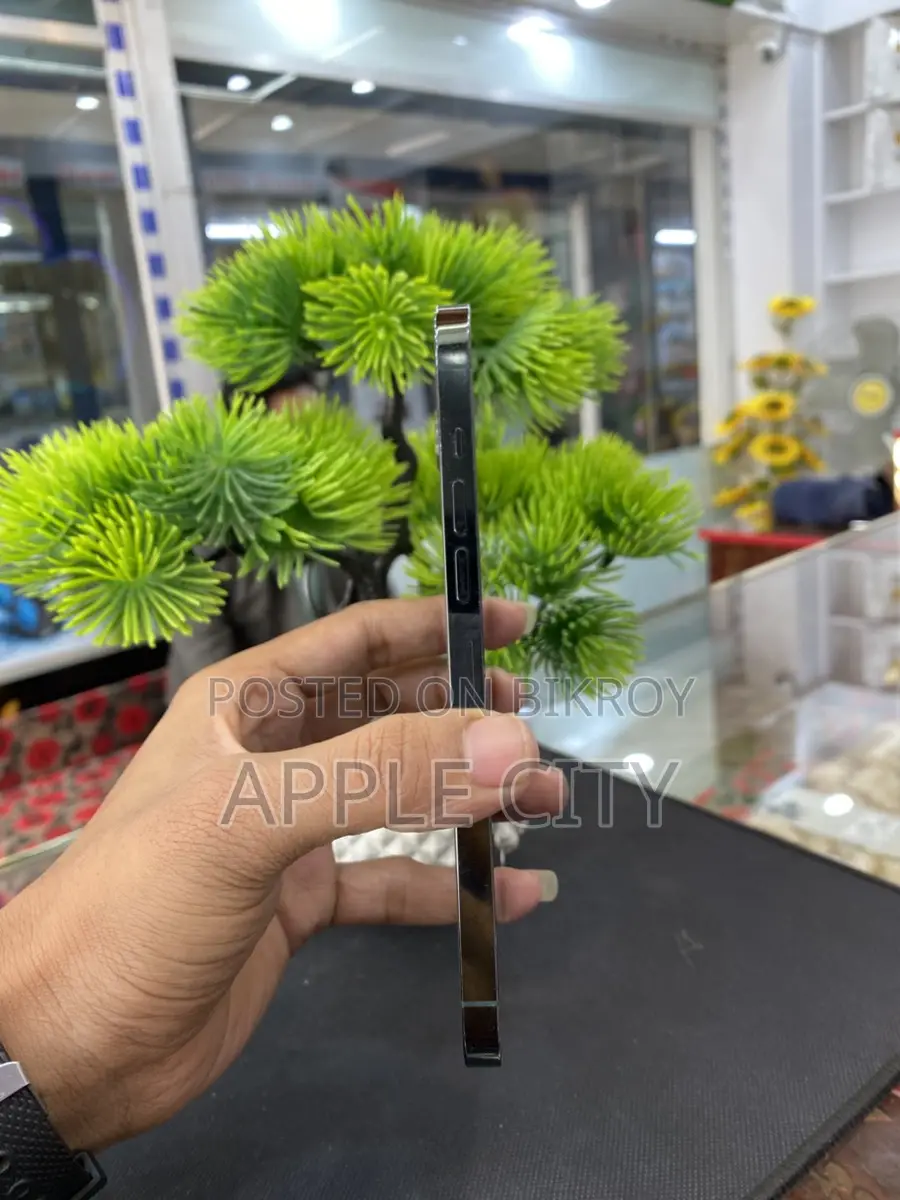Apple iPhone 13 Pro Max (Used)