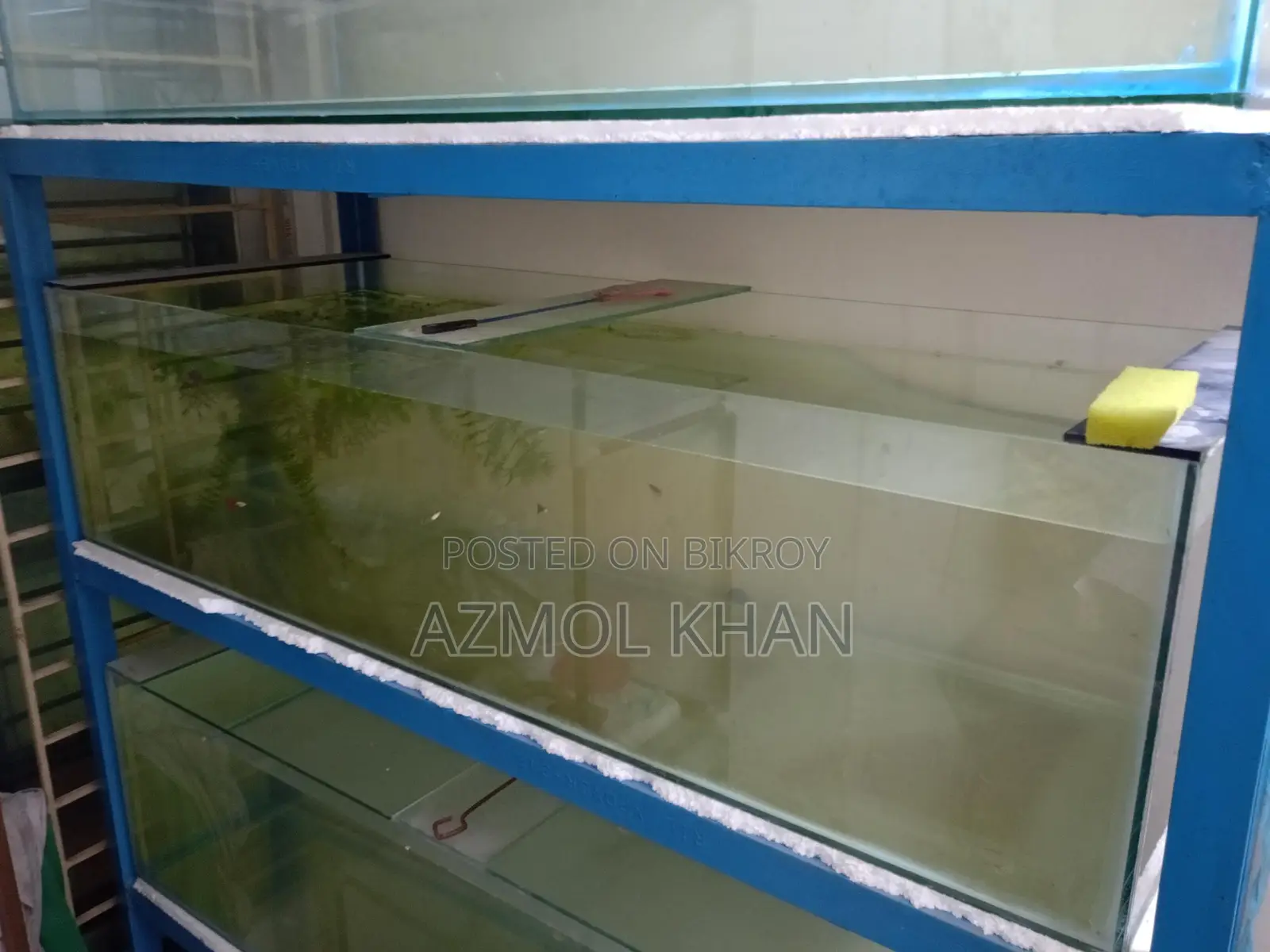 4 Feet Tank Full Setup