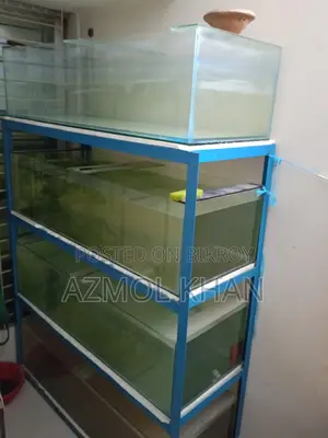 4 Feet Tank Full Setup