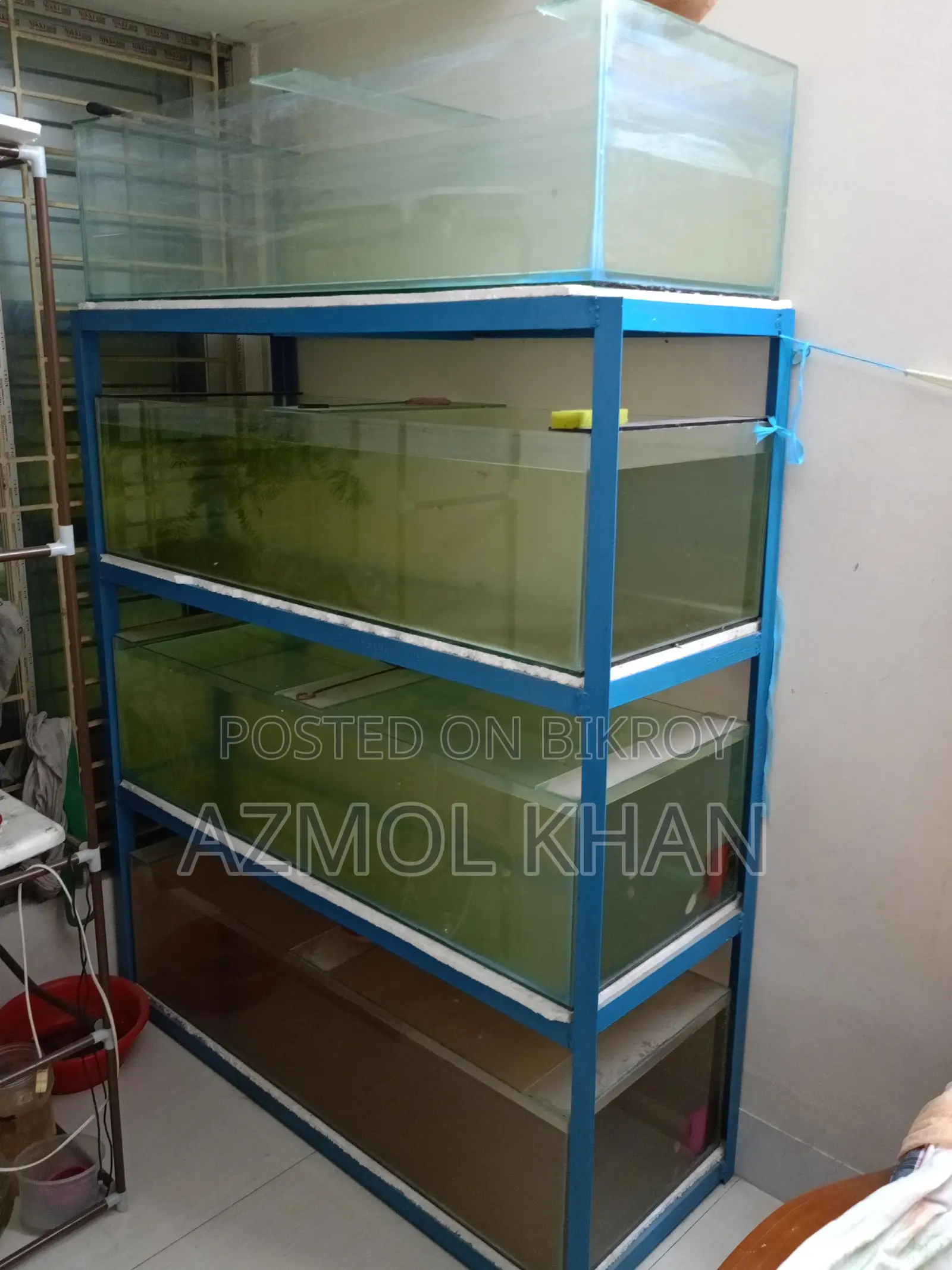 4 Feet Tank Full Setup