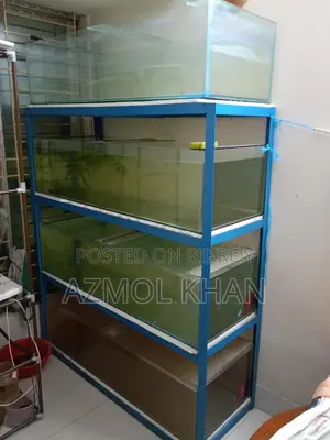4 Feet Tank Full Setup