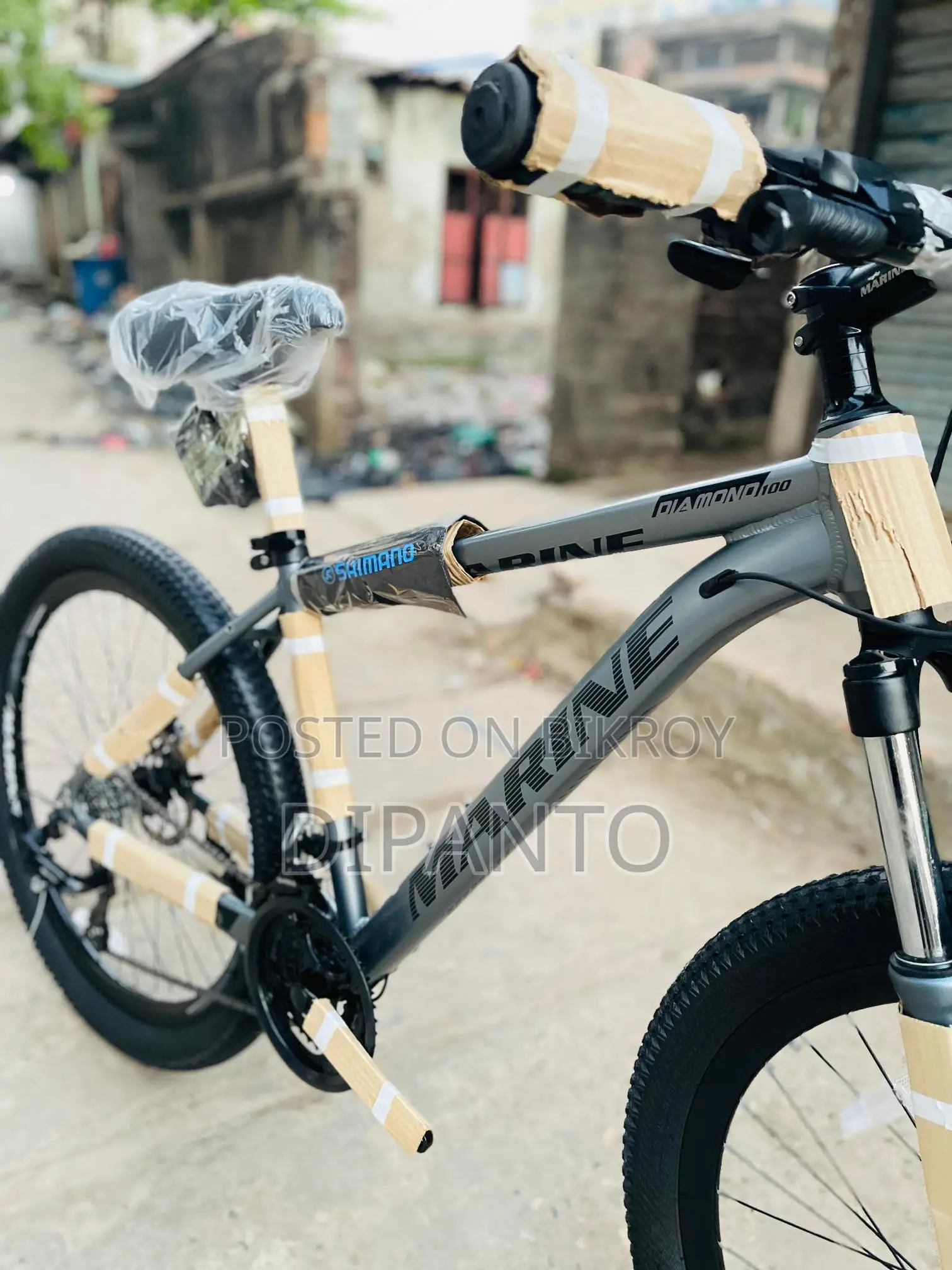 Selling My Bicycle