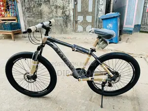 Selling My Bicycle