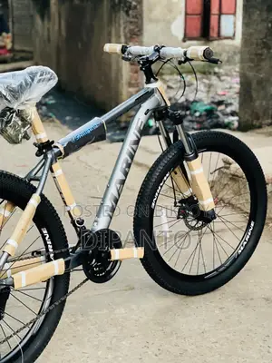 Selling My Bicycle