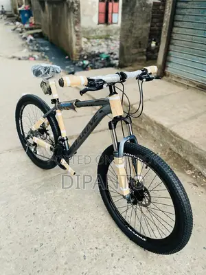 Selling My Bicycle