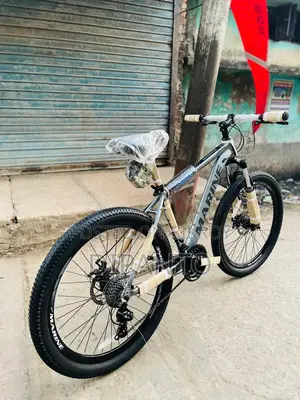 Selling My Bicycle