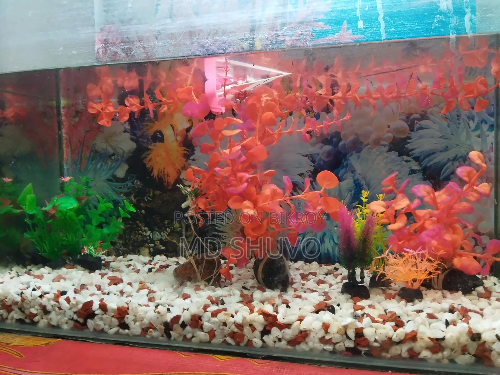 Aquarium for Sale