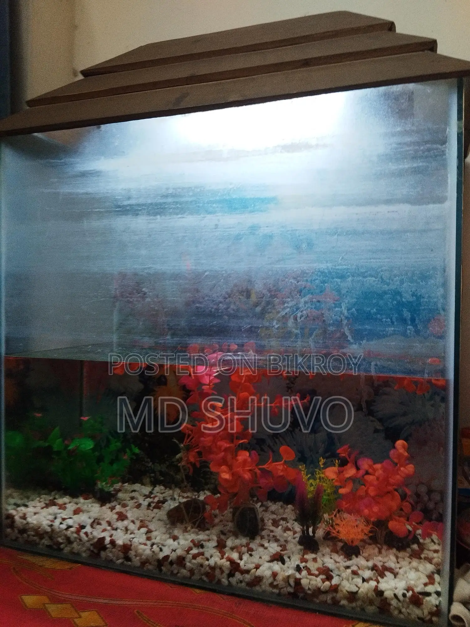 Aquarium for Sale