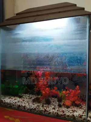 Aquarium for Sale