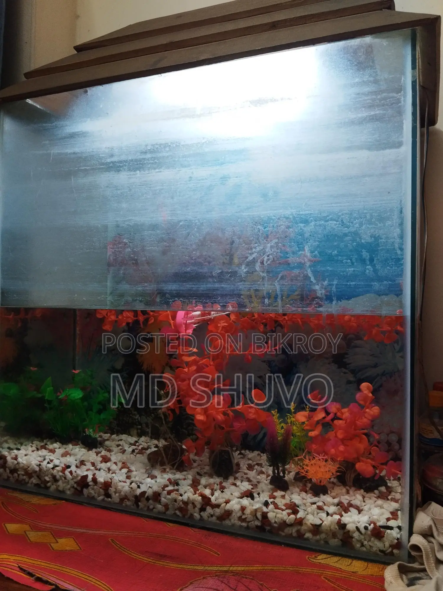 Aquarium for Sale