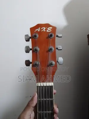 Guitar
