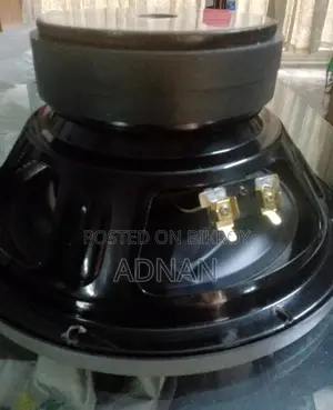 Subwoofer Speaker Dual Magnet