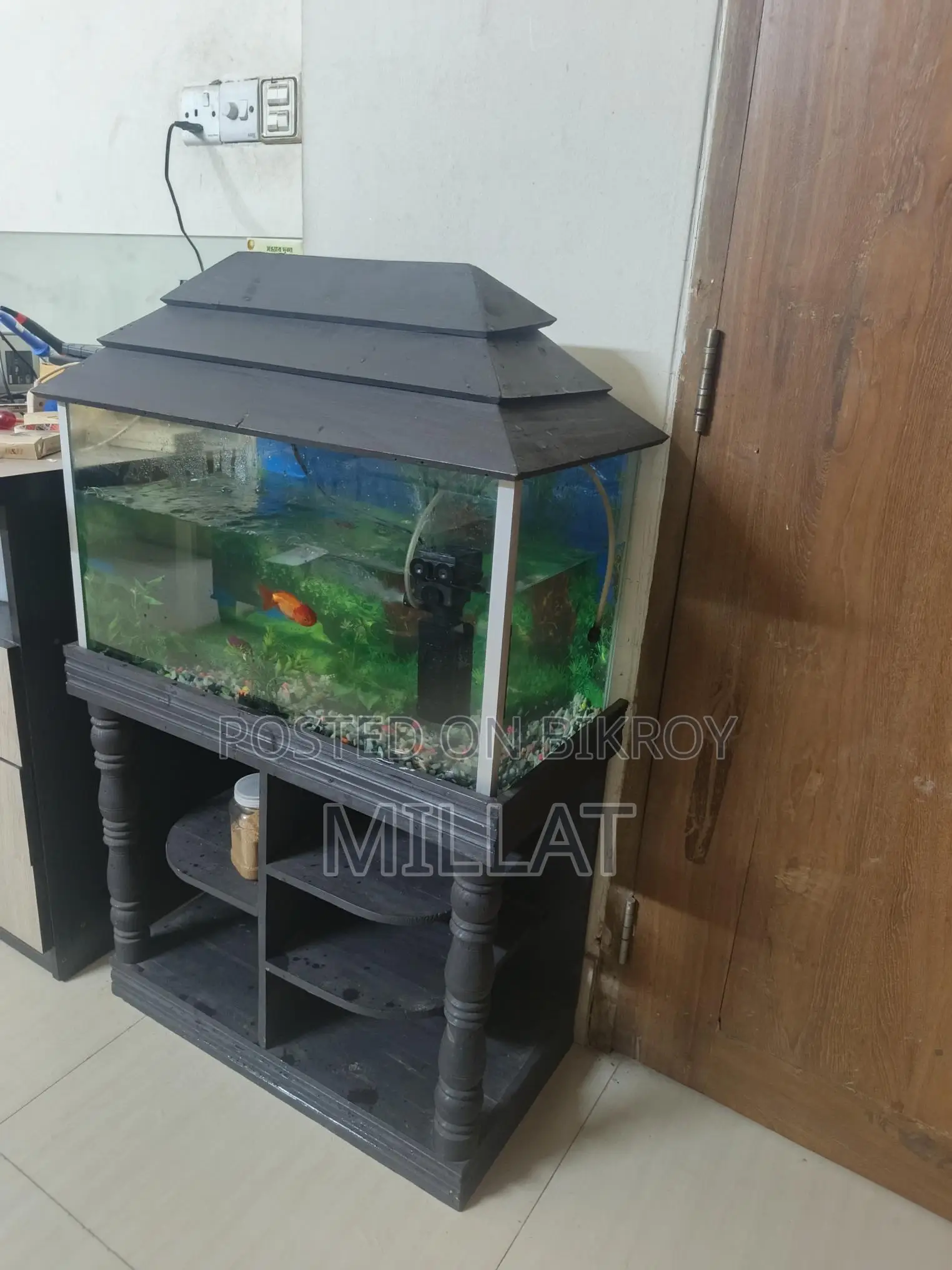 Aquarium