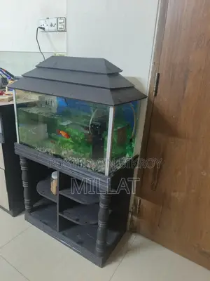 Aquarium