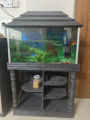 Aquarium