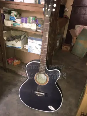 Guitar in Completely Fresh Condition