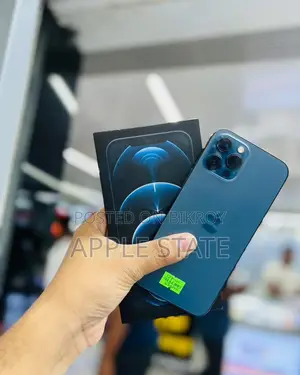 Apple iPhone 12 Pro Max (Used)