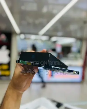 Apple iPhone 12 Pro Max (Used)