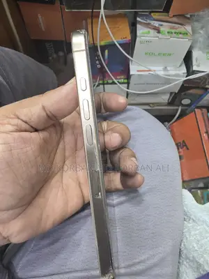 Apple iPhone 16 Pro Max . (Used)