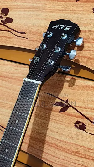 Guitar