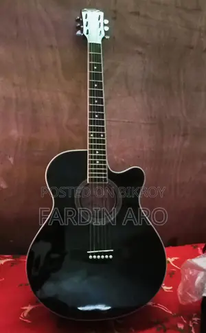 New Guitar