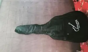 New Guitar