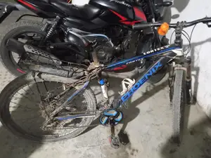 Duranta Bicycle for Sale