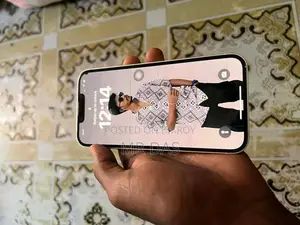 Apple iPhone 13 (Used)