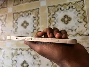 Apple iPhone 13 (Used)