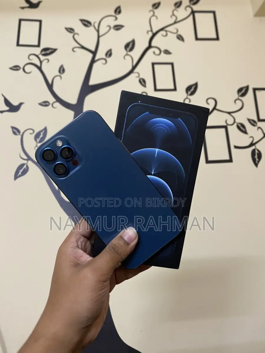 Apple iPhone 12 Pro Max (Used)