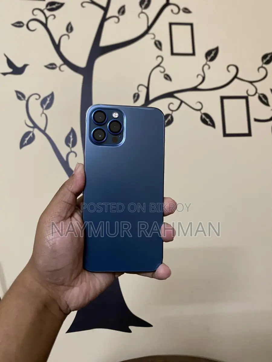 Apple iPhone 12 Pro Max (Used)