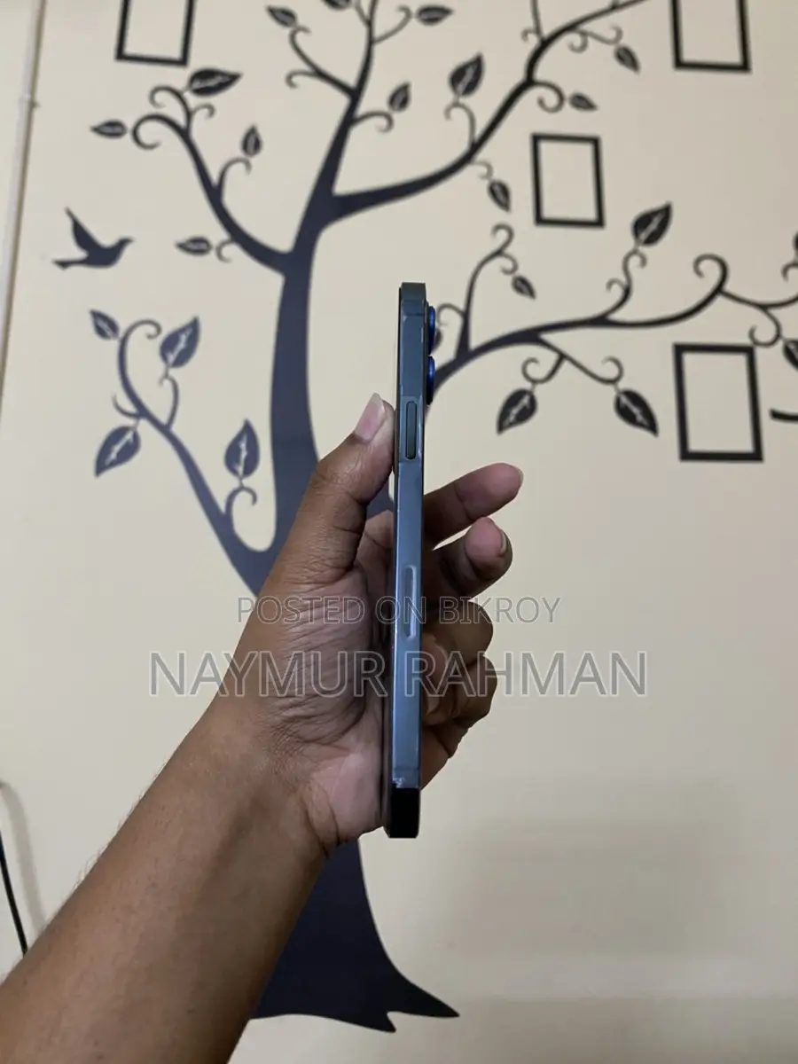 Apple iPhone 12 Pro Max (Used)
