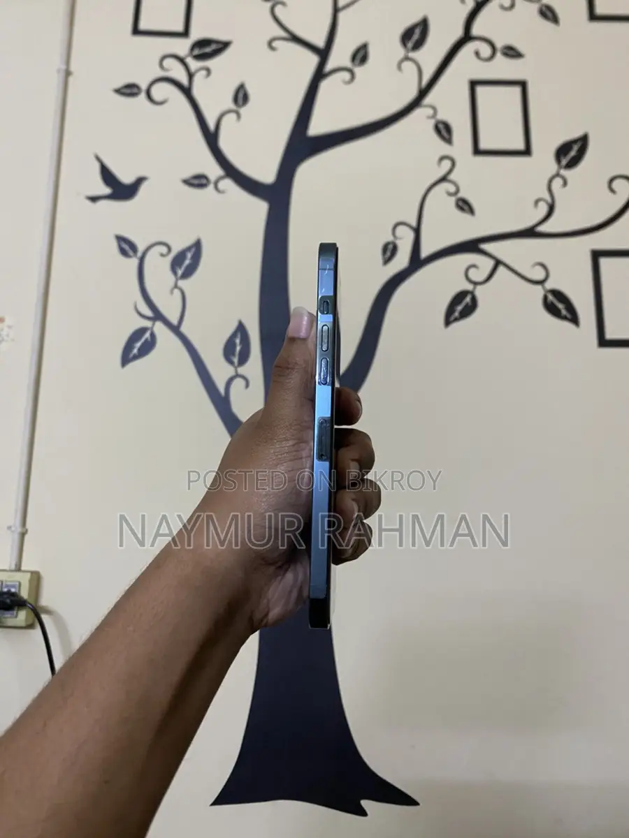 Apple iPhone 12 Pro Max (Used)