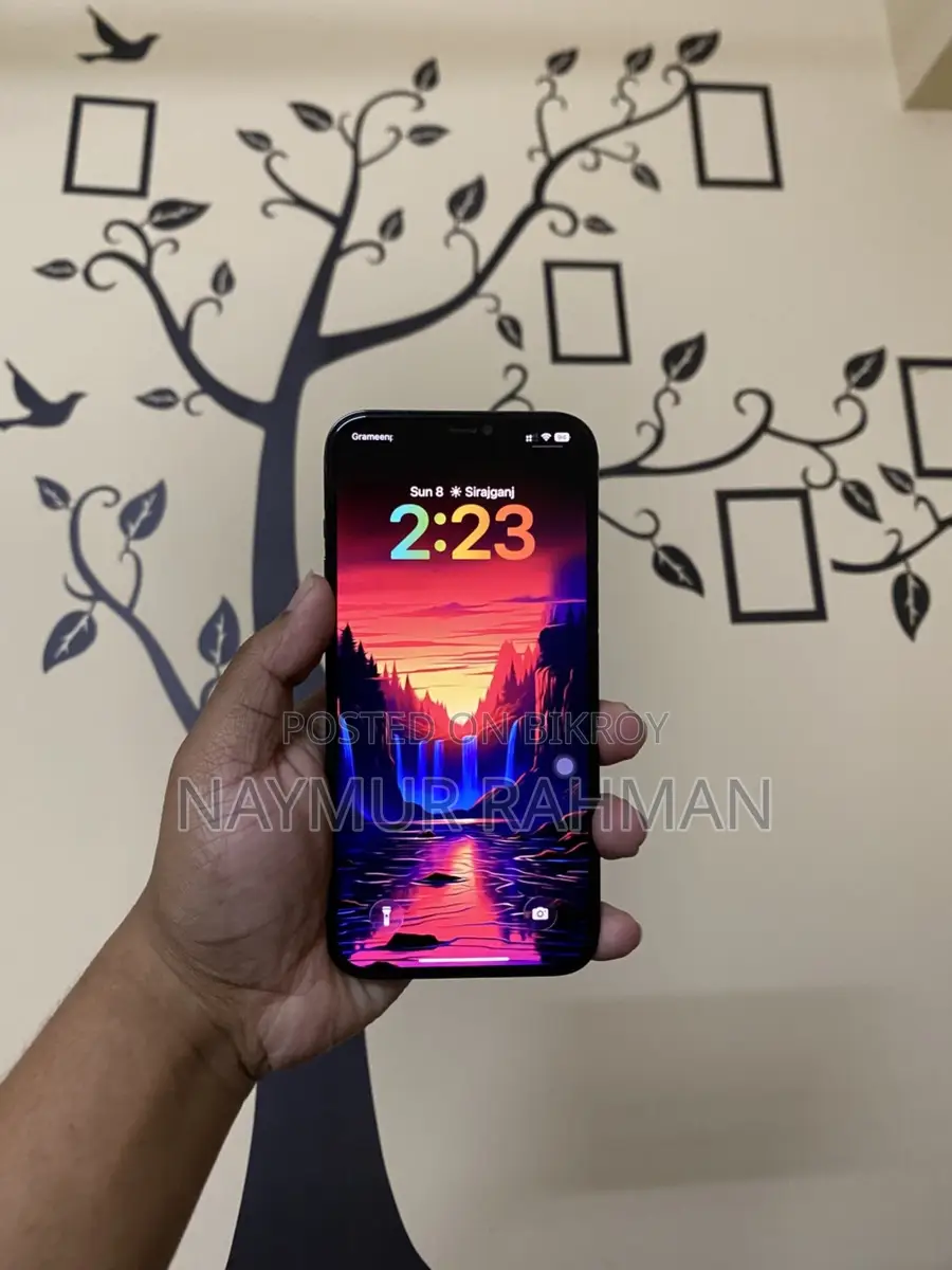 Apple iPhone 12 Pro Max (Used)