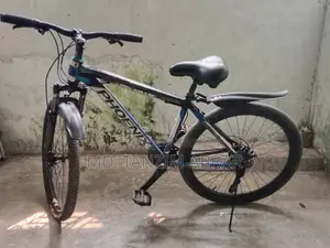 Bicycle For Sale