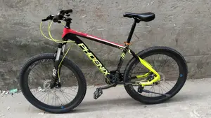 Phoenix Bicycle for sale