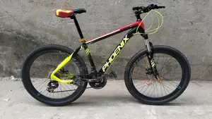 Phoenix Bicycle for sale