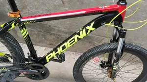 Phoenix Bicycle for sale