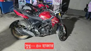 Roadmaster Rapido Super Fresh Condition 2018